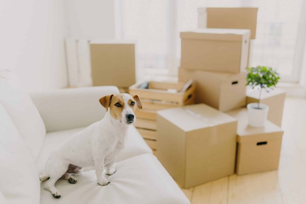 Quels sont les critères pour choisir un revêtement de sol confortable pour les pieds nus autour de la piscine ?