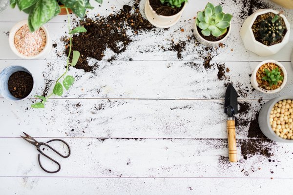 Astuces indispensables pour un jardinage et bricolage réussis